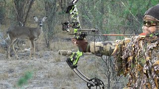 Archery Whitetail Deer Rut Hunt in December Texas Public Land