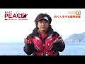 平和卓也 「おしえてpeace」 磯釣教學準備篇4 保護釣魚人生命安全的裝備 中文字幕