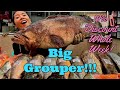 Big Brown Grouper! (29 Oct 2024 Tues)