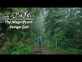 Pipeline Track Nathiya Gali | Travel Pakistan