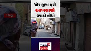 Rajkot News: ધોરાજીમાં ફરી આખલાએ ઉપાડો લીધો | Dhoraji | bull | N18S