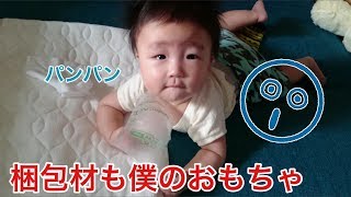 【224 days old】梱包材で遊びました