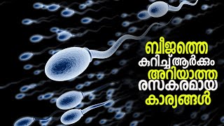 Amazing Facts About Sperm | MALAYALAM | Beyond Your Eyes