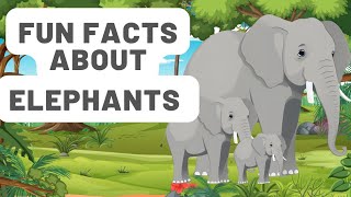 Elephants Fun Facts | Learn Animals For Children | Educational Video Babies and Toddlers  Vocabulary