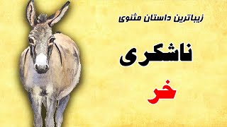 ناشکری خر- بهترین داستان آموزنده از مثنوی مولانا