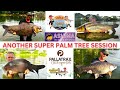 The Overrated Anglers Thailand - Palm Tree Lagoon - Carp species galore along with Friendly Mekong