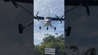 Winair Plane Nearly Hits Me in St. Barth #shorts #trending #aviation #flying #twinotter