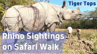 Tiger Tops Tharu Lodge | Rhino Sightings on Safari Walk 2 | Nepal