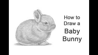 How to Draw a Rabbit (Baby)