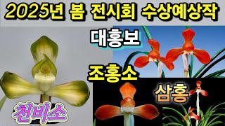 (화순) 난청솔 25/01/15(수) 한국춘란 판매 영상입니다. 상품 [천비소(꽃1경)/삼홍(꽃3경)/대홍보(꽃3경)/조홍소(꽃3경)] 4점 등록하였습니다.