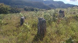 Groblje Stare Civilizacije Brezovice Valjevo - Ancient Cemetery Brezovice Valjevo