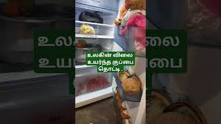 உலகின் விலை உயர்ந்த குப்பை தொட்டி . தமிழ் .