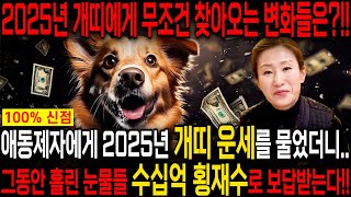 🌟2025년 미리보는 을사년 개띠운세🌟큰 사건이 터진다?! 2025년 금전,귀인,문서운 한번에 다 들어온다! 개띠 인생이 바뀝니다! 58년생 70년생 82년생 94년생 개띠 운세