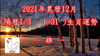 【古柏論命每月運勢】2021年農曆12月(陽曆1/3 ~ 1/31)生肖八字流月運勢分享 -  雞