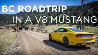 Ford Mustang GT Roadtrip | Driving.ca