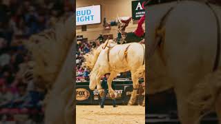 Leighton Berry, 2025 American Rodeo West Regional Bareback Champion!