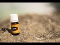 Copaiba essential Oil - Young Living