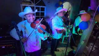 asi son las fiestas en jopala puebla, con el trio Herencia Huasteca del totonakapan.