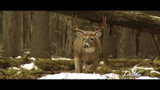 Driven with Pat \u0026 Nicole - Saskatchewan GIANTS - Outdoor Channel