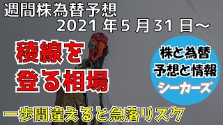 ニューヨークダウ・ナスダック・日経平均・ドル円の予想　株式市場は今週も上昇を維持できるのか？急落のリスクとタイミングは？　2021年5月31日から【週間株為替予想】