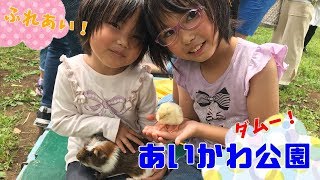 【子連れ】あいかわ公園！宮ヶ瀬ダム！！動物のふれあいも満喫☆【おでかけ】