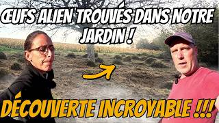 ep8 Rénovation de notre jardin : 1700m² envahis par des fourmis ! 🌱🐜