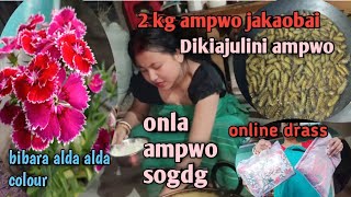 Dikiajulini 2 kg ampwo jakaobai 🥰👌// agni Pisa garden naiyaba tanw hala 😅//Gwjwnti vlog