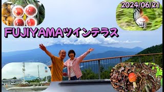 FUJIYAMAツインテラス アサギマダラ ベニテングダケ 富士山ローソン おごっそう家 エゾハルゼミ