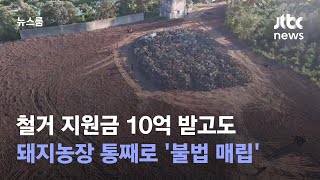 철거 지원금 10억 받고도…돼지농장 통째로 '불법 매립' / JTBC 뉴스룸