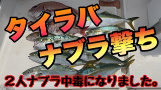 タイラバ中、ナブラ発生の連絡を受け急遽ナブラ撃ちへ