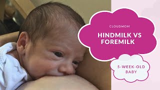 5 Week Old Baby: Hindmilk vs Foremilk | Subt. ENG/ FR/ ES/ ZHO_CN | CloudMom