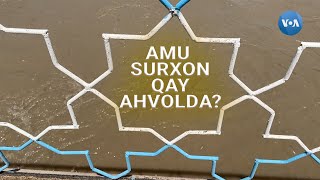 Surxondaryo Amudaryo suvini qanday sarflaydi? #amudarya #uzbekistan #centralasia