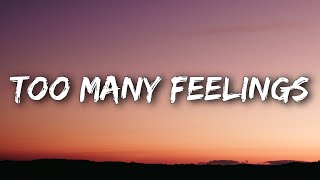Ruel - ​too many feelings (Lyrics)