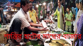 শান্তির হাট বাজারের,, মাছ বাজারের দৃশ্য #কৃষি # কৃষি পর্যটক এরিয়া ..