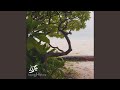 Wind