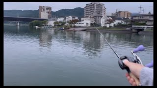 【琵琶湖】バス釣り　クランク炸裂　瀬田川　南湖