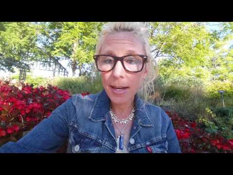 How To Deal With A Narcissistic Sibling..Hold Onto Your Reins! How To Deal With A Narcissistic Sibling..Hold Onto Your Reins!