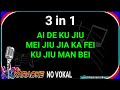 3in1 Ai de ku jiu+Mei jiu jia ka fei +Ku jiu man bei-Male - karaoke no vokal(cover to lyrics pinyin)