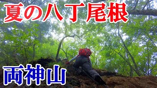 夏の両神山 八丁尾根ルートピストン Mt.Ryokami 4k trekking in Japan