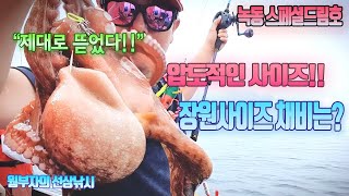 2023년 첫문어낚시!! 빅사이즈 크라켄사이즈 등장!! 과연 어떤 채비에 먹혔을까?