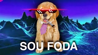 Foi imitar o cachorro e se F0D3U