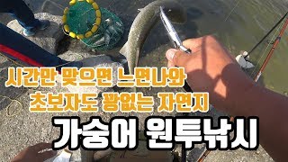 득실득실 숭어 원투낚시 [아쿠아맨] 영종도 대매도랑교 포인트