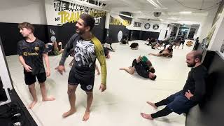 Lions jiu jitsu 5:15 November 25, 2024