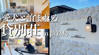 【犬連れ旅行】淡路島のペットと泊まれる貸別荘Ocean Resort Awaji/貸切なのに・・・愛犬チワワがバッタリ出くわした犬と大喧嘩！止めようがありませんでした。閲覧注意！（喧嘩シーンあり）