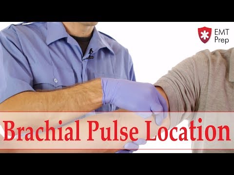 Brachial Pulse Location - EMTprep.com Brachial Pulse Location - EMTprep.com