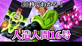 【ドッカンバトル】30秒で分かる人造人間16号【比較】