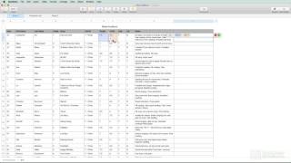 Numbers 101: Learn Numbers - 2. Spreadsheet Basics