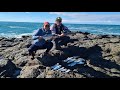 Australian Salmon & Tailor Off The Rocks. South Coast