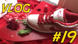 VLOG #19 STRANGELOVE X Premier [Detail on How to Pick Up]