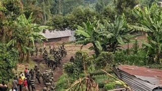 COMBAT FARDC\u0026 M23-RDF AU SUD-KIVU, LESMAÏ-MAÏ WAZALENDO EXIGE LA LOGISTIQUE AU GOUVERNEMENT